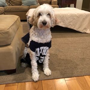 Meet your Posher, Sylvia